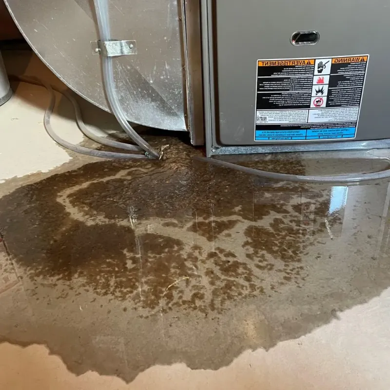 Pipe Burst and Leak Restoration in Mesquite, NM